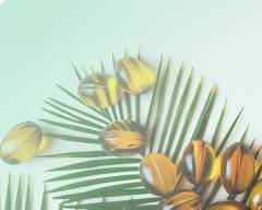 棕榈油盯盘神器