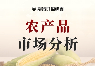 USDA报告前瞻：单产微调与需求验证，谁将主导谷物方向？