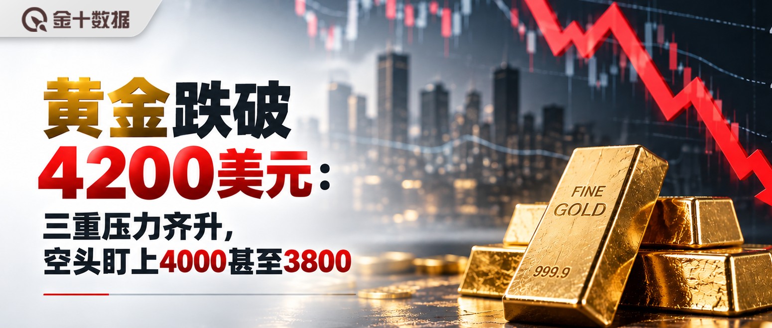 新闻详情