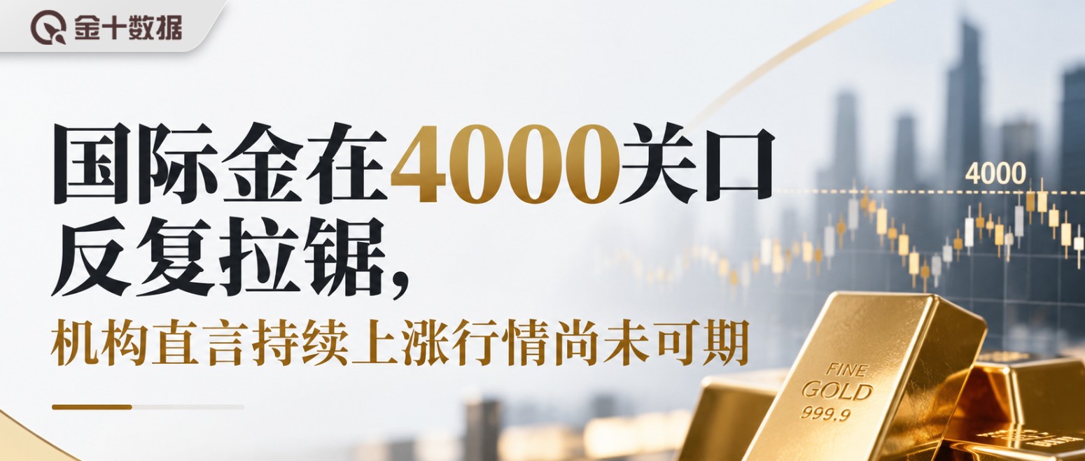 新闻详情